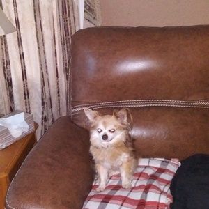 Meet your Posher, Deborah